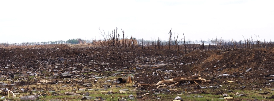 The Hidden Killers – Clearing Ukraine’s Landmines and Explosive Remnants of War