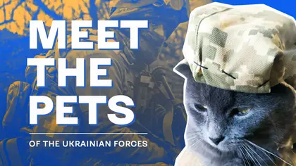 Meet the Pets of the Ukrainian Forces