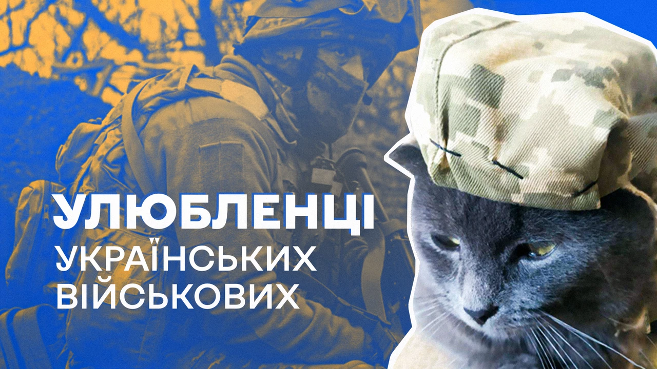 Знайомтесь: улюбленці українських військових