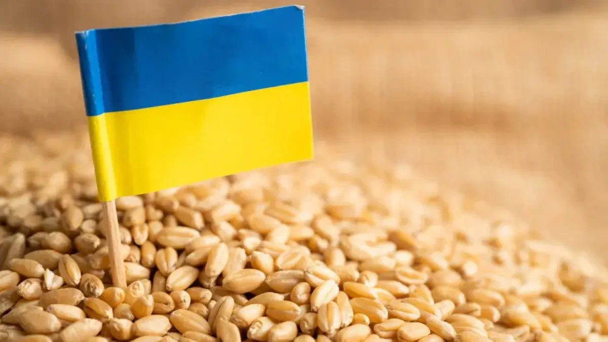 ЄС обговорить заборону на імпорт зерна з України - Reuters