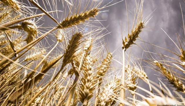 أوكرانيا تعلن استئناف تصدير الحبوب عبر بولندا عقب التوصل لاتفاقية