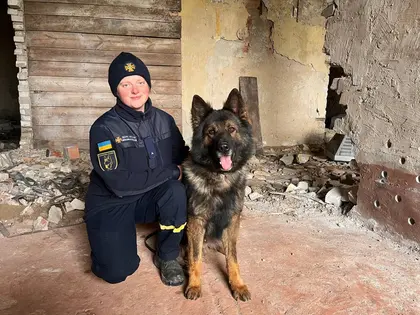The Dogs of War Clearing Ukraine of Explosives