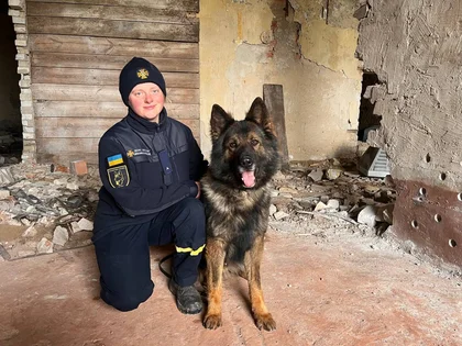 The Dogs of War Clearing Ukraine of Explosives