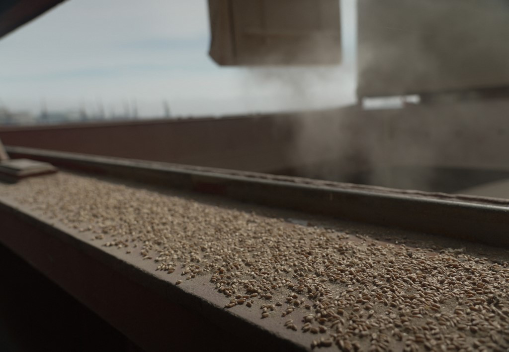 Panama-Flagged Ship Damaged by Russian Drone Near Odesa