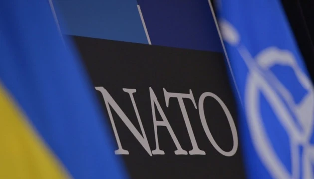 US and Germany Resist Calls to Take Firm Decision on Ukraine's NATO Membership