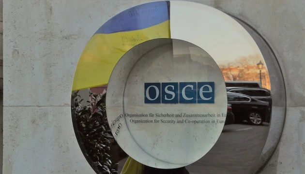 Ukraine at OSCE: Our Statehood's Destruction Remains the Goal of Russia