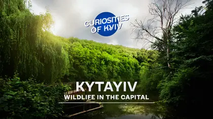 Kytayiv - a Unique Corner of Wild Nature in Kyiv