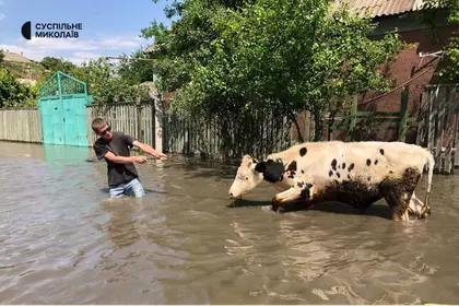 بعد تدمير سد نوفا كاخوفكا.. فيضانات تجتاح قرى على نهر دنيبرو وأوكرانيا تبدأ إجلاء السكان