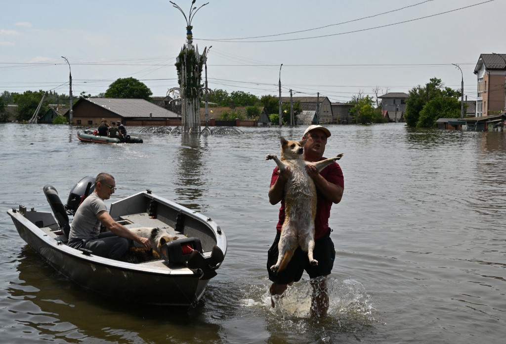 A volunteer carries a dog during an evacuation from a flooded area in Kherson on June 8, 2023. Genya SAVILOV / AFP