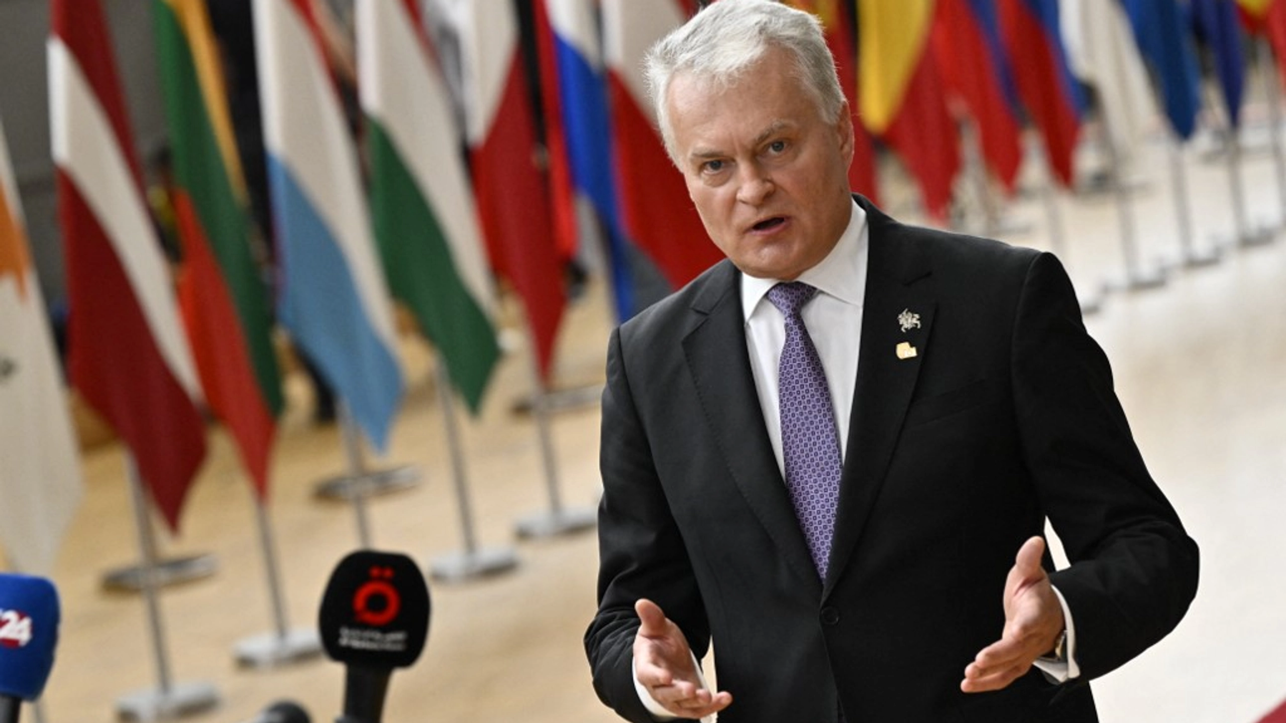 Lithuania Says NATO Summit Will Offer Ukraine ‘a Lot’