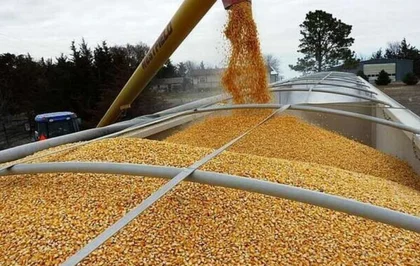 أوكرانيا تتوقع زيادة في محصول الحبوب هذا العام
