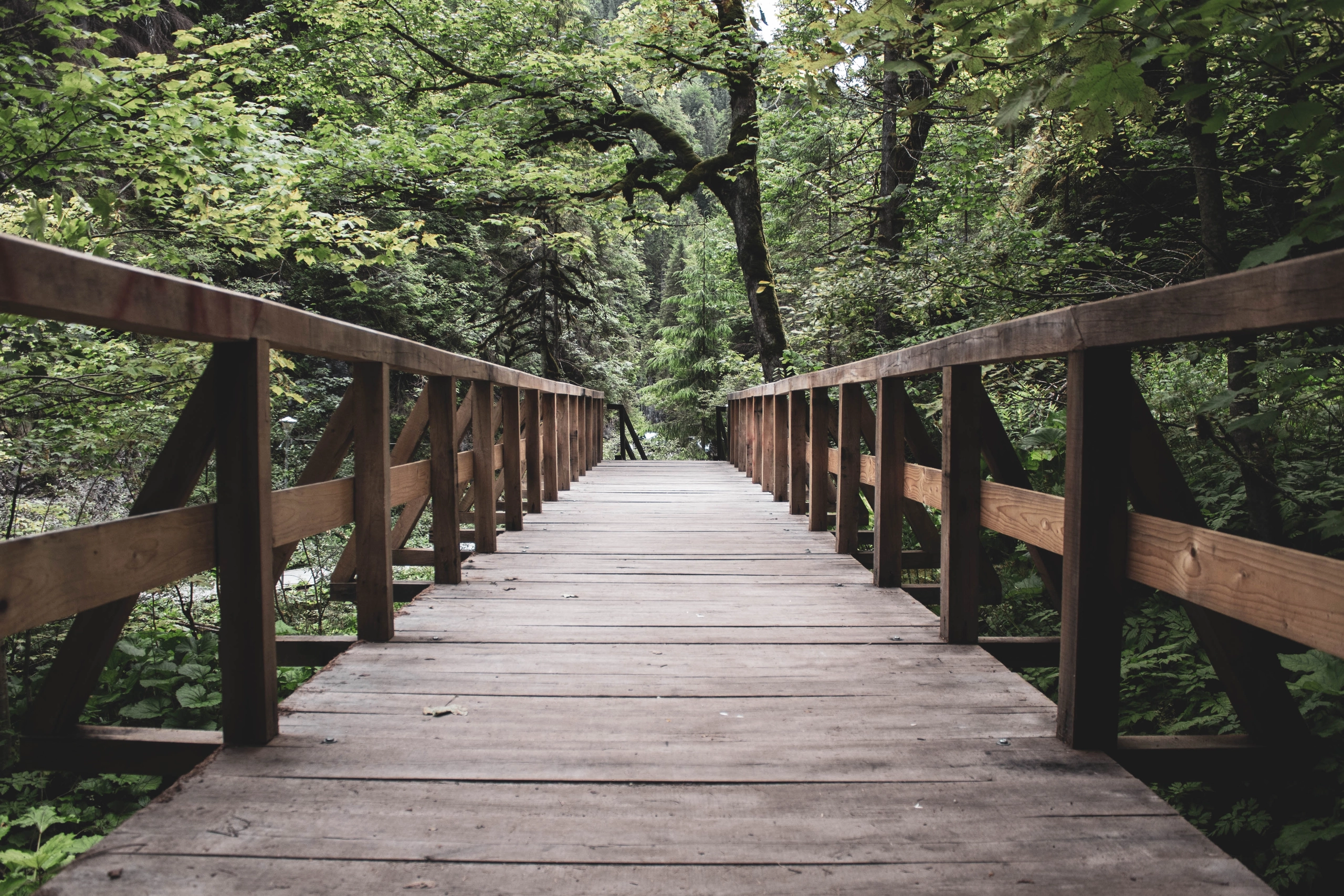 Parable of Two Men on a Bridge