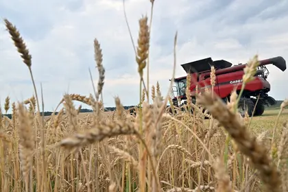 ​​П'ять країн ЄС хочуть продовжити заборону на імпорт зерна з України
