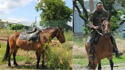Russian Combat Unit Using Horses to Covertly Supply Troops