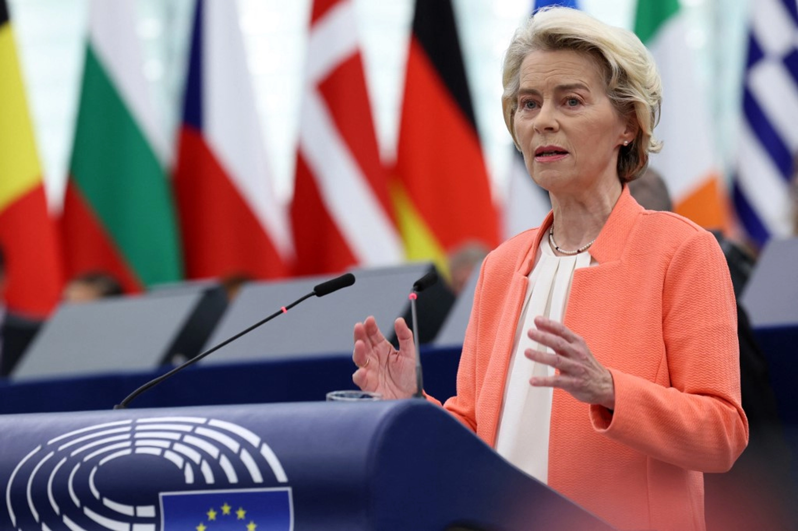 Ukraine Has Made 'Great Strides' in EU Bid: von der Leyen