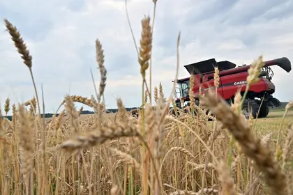 Румунські фермери просять владу заборонити імпорт українського зерна