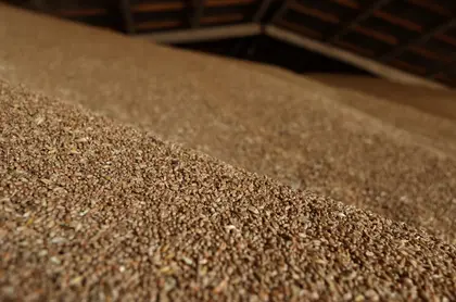 What to Do With Ukraine’s Grain Exports