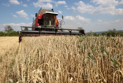 Перевірки українського зерна перенесуть з польського кордону до порту Литви
