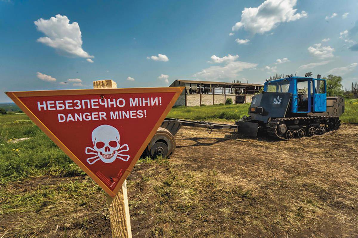 Minefields Honey: Bees to Help De-Mine Ukraine