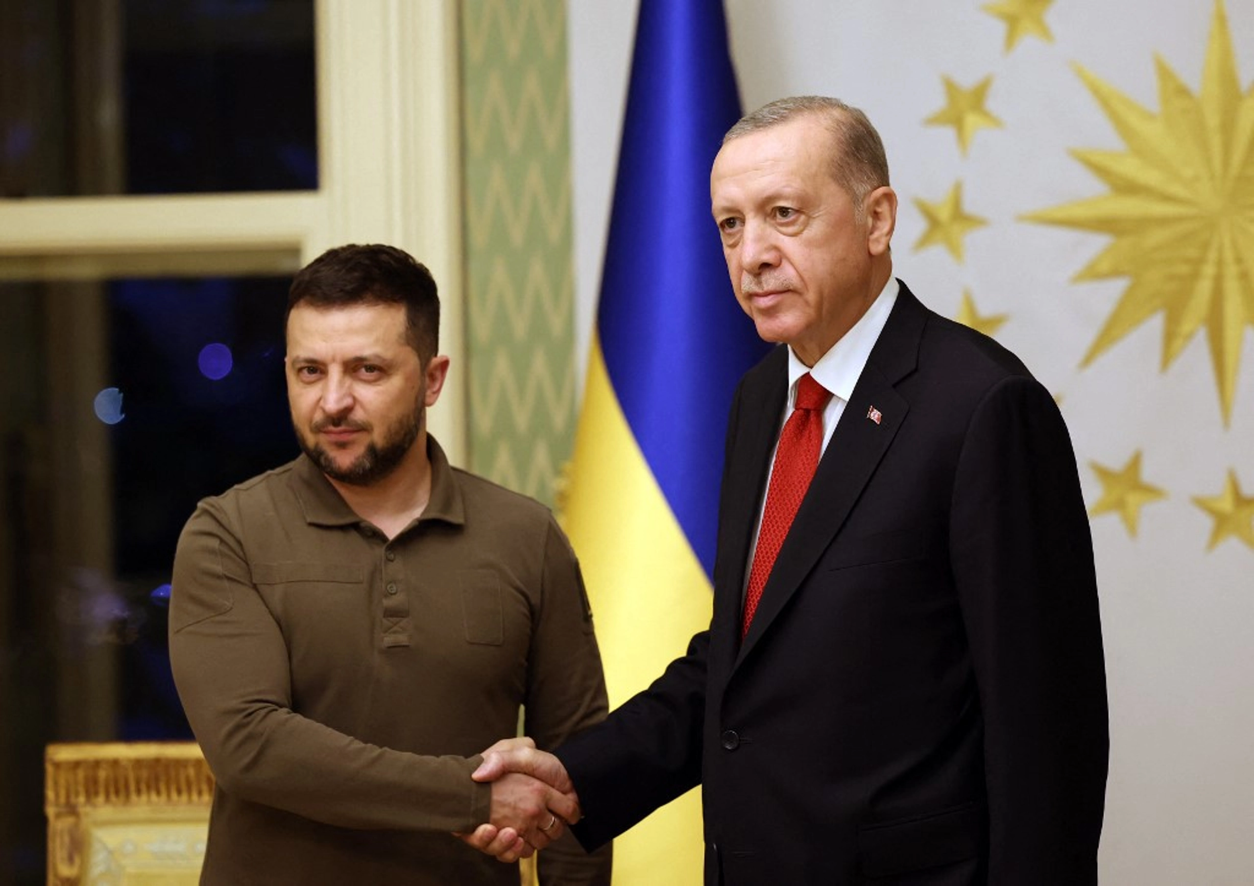 Zelensky, Erdogan Discuss Pressing Issues