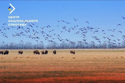 Росіяни крадуть тварин із унікального заповідника “Асканія-Нова”