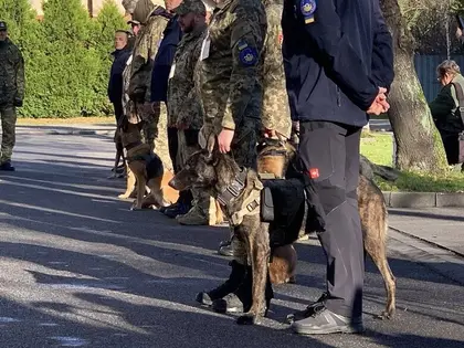 ЄС вдруге передав Україні спеціальних собак-саперів
