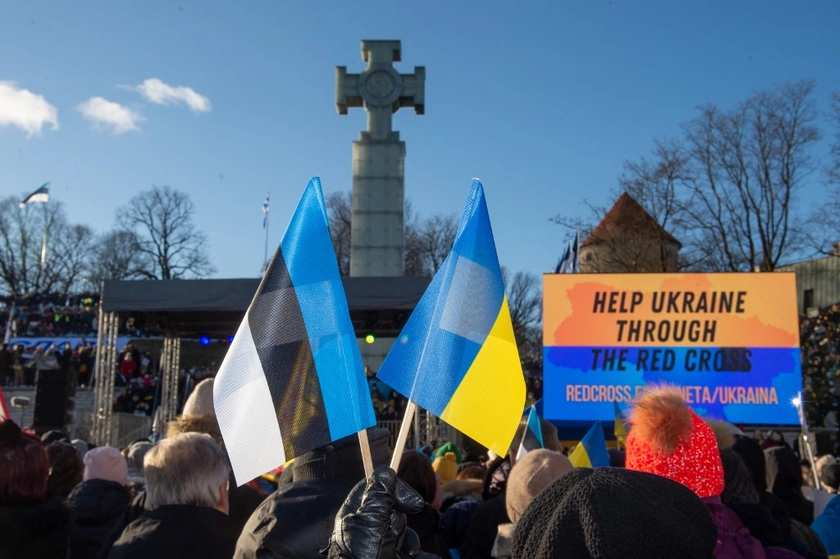 Estonia Open to Agreement with Kyiv on Mobilizing Ukrainian Men