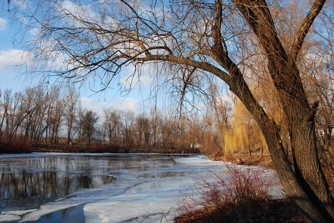 Рекордно теплий грудень у Києві