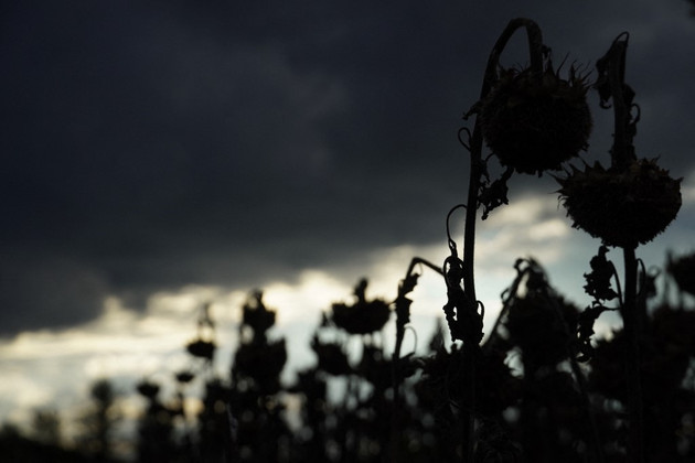 War in Ukraine Latest: Russia Claims Capture of Vesele in Eastern Ukraine - Vimarsana News