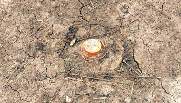 Russian Soldiers Allegedly Blow Themselves Up On Own Landmine - Vimarsana News