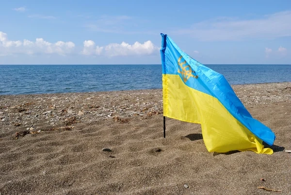 У Криму окупанти звільнили з роботи вчительку за зображення прапора та герба України