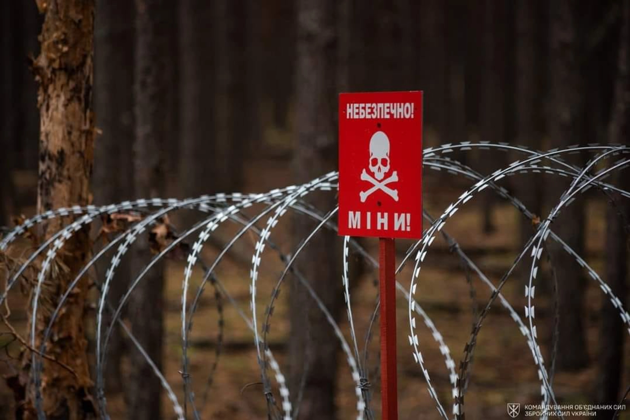 Угорщина приєднається до розмінування України