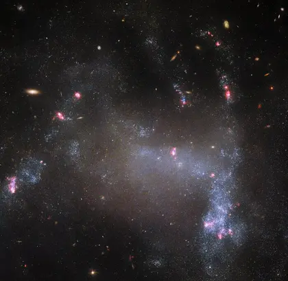Космічний телескоп Hubble сфотографував «галактику-павука» в сузір'ї Малого Лева