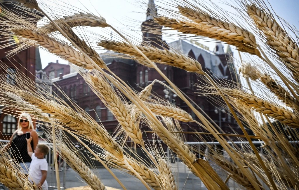 Why Has Russian Wheat Been Entering the EU Duty-Free?