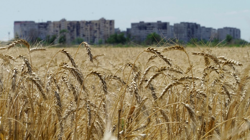 Росія продовжує вивозити крадене зерно з порту Маріуполя