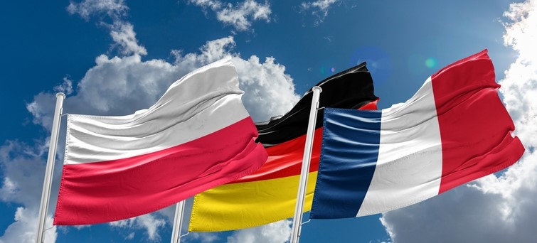 Germany, Poland and France: Recasting a Green Weimar Triangle