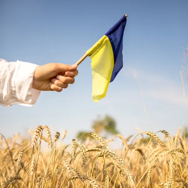 З окупації вдалося повернути ще чотирьох дітей