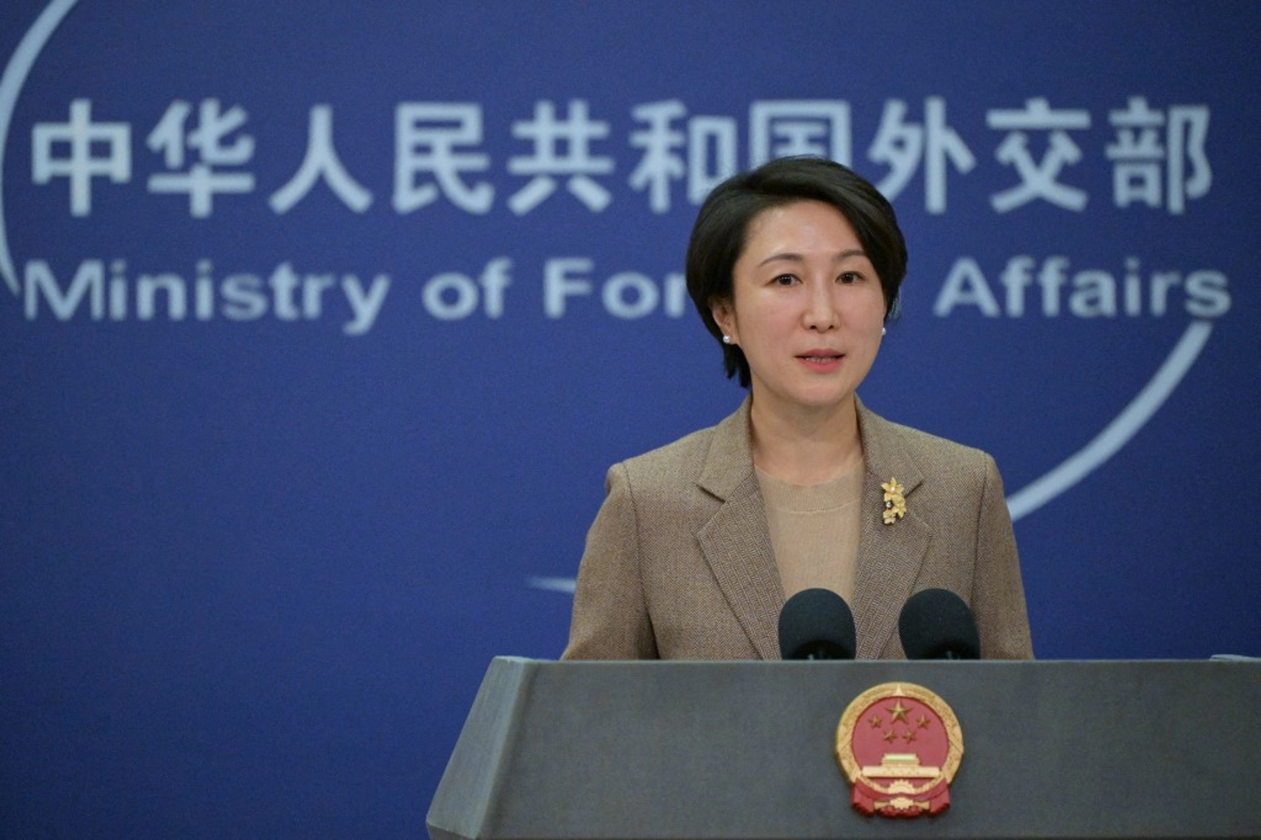 China Denies Pressuring Other Countries to Avoid Ukraine Peace Summit