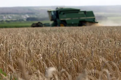 Ukraine’s Agriculture and Food Production Not Shielded From War, Warns Agribusiness Chief