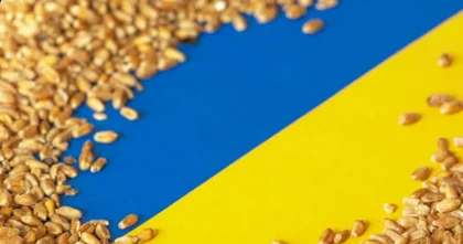 Експорт переробленої продукції України зростає швидше за постачання сировини