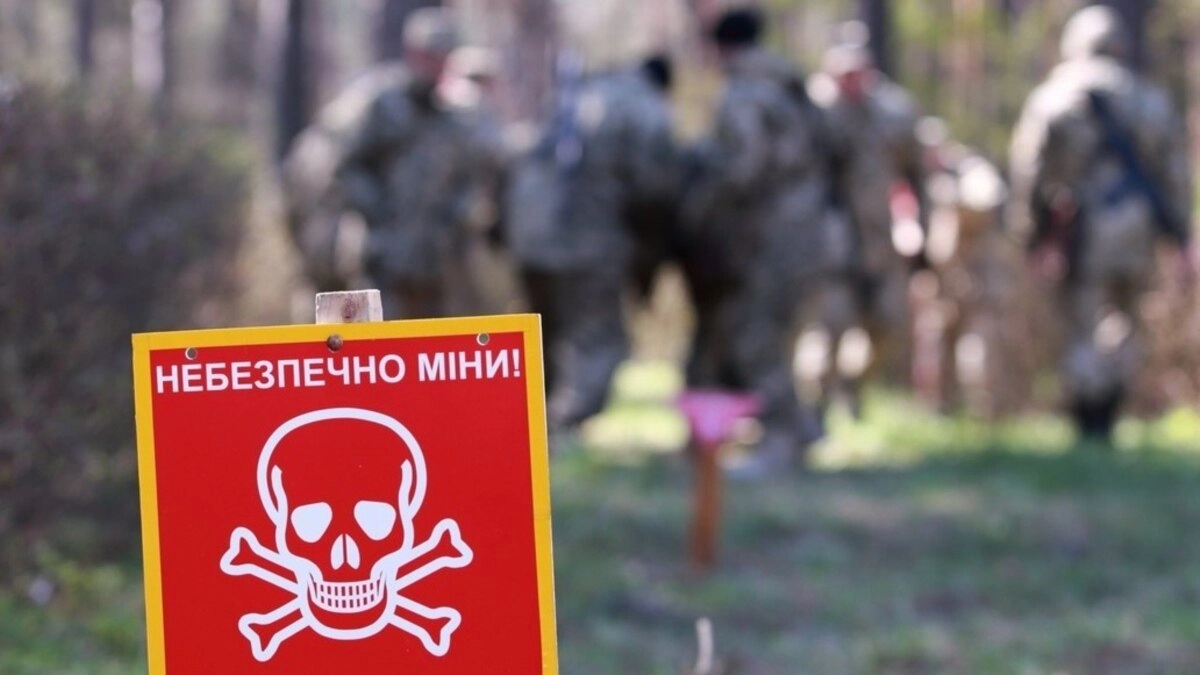 Понад 335 тис. га вдалося розмінувати на правобережжі Херсонщини