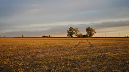 Латифундисти не монополізували ринок землі в Україні - КШЕ Агроцентр