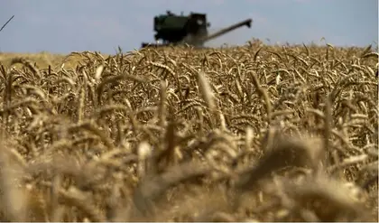 Agro-Companies Buy Up 18 Percent of Ukraine’s Legal Land Market