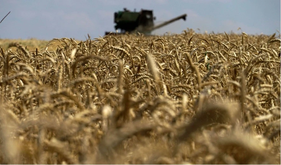 Agro-Companies Buy Up 18 Percent of Ukraine’s Legal Land Market