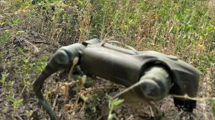 Ukraine to Unleash Robot Dogs on Its Front Lines