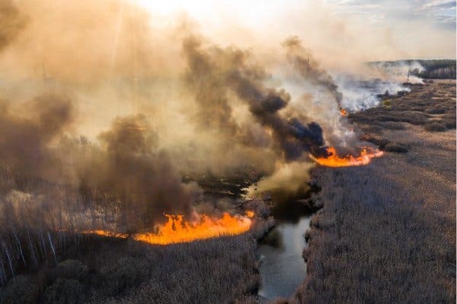 Forest Fires Deposit Decades-Old Radioactive Dust in Norway, Finland