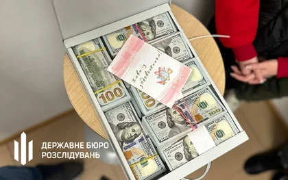 ДБР знайшло 1,5 мільйона доларів у депутатки Хмельницької міськради