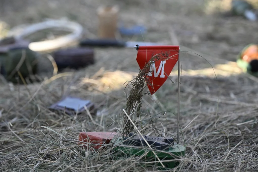 ‘Cannot Be Treated Seriously Yet’ – Expert on New US Provision of Antipersonnel Mines to Ukraine