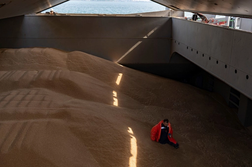 Epicenter Agro to Build 5-Million-Ton Grain Terminal in Ukraine