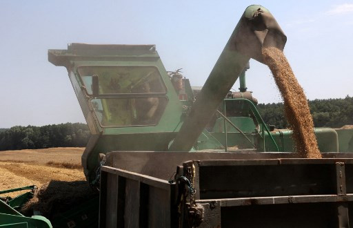 NBU Shields War-Hit Borrowers From Default, Lets Farmers Borrow More Against Grain